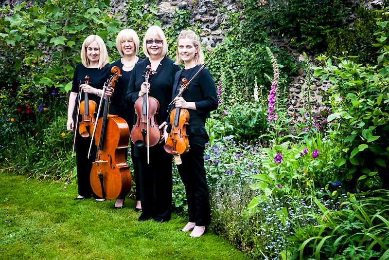 Sole Bay Strings